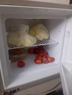 dwalnace fridge smalll