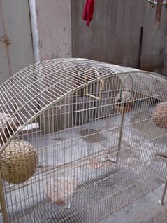 Iron Cage for Sale