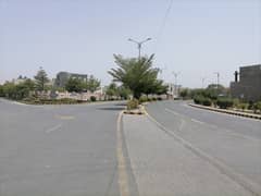 Plot