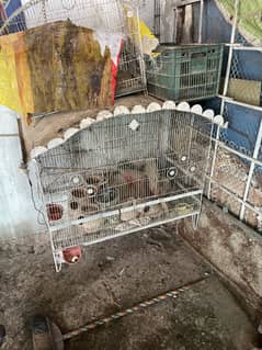 Cages
