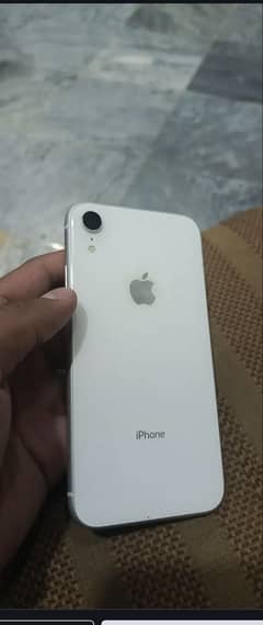 03024289019
