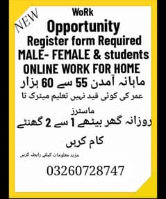online work available male female and students