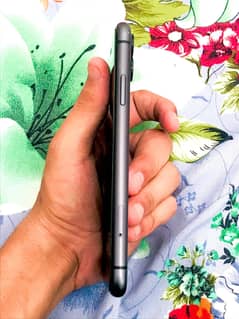 Iphone 11 waterpack cheap price
