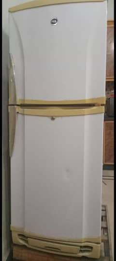 pel fridge for sale   excellent cooling