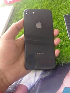 I fone 8 PTA approved