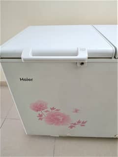 Haier Refrigerator & Freezer Mint Condation