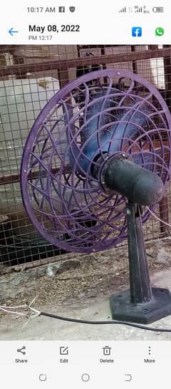 birds care