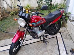 yahama 125zdx