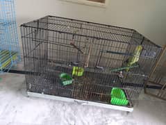 Parrots Cages for urgent sale .