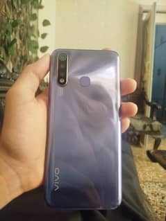Vivo