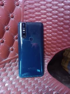 ViVo