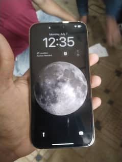 iphone 14 pro max. Golden