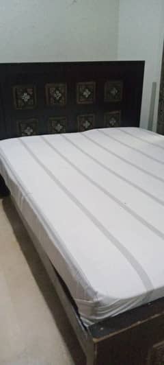 Ply wood