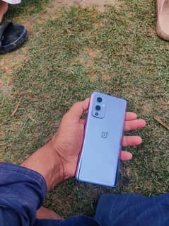 one plus 9 12 256