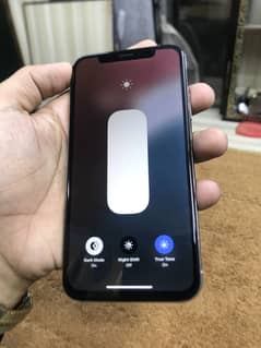 iPhone XS Factory Unlocked Exchange Possible