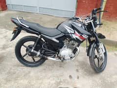 YAMAHA YBR G 2015 03164470862