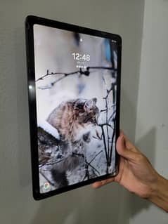 Galaxy Tab S6 Lite (Model: SM-P610) – For Sale