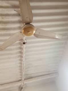 Fan for Sale
