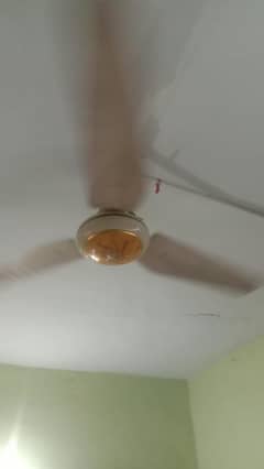 AC DC fan