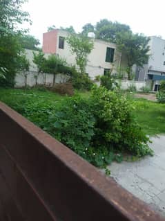 HOT LOCATION PLAZA FOR BIG CAHIN OR INTERNATIONAL COMPNY