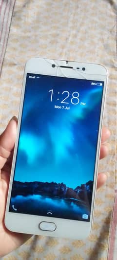 vivo