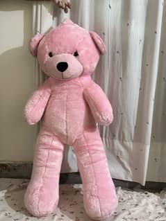 Teddy