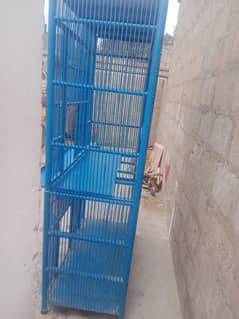 birds pinjara