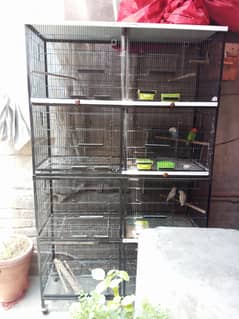 Love Birds Cages
