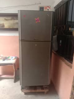 pel fridge