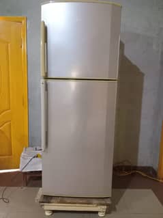 Haier Fridge Refrigerator Big size
