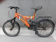 phoneix bicycle