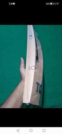 Hard ball bat for sale 10by10