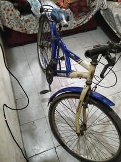 Good condition bicycle Phoenix company
