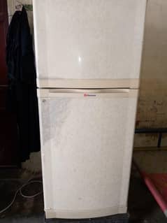 fridge