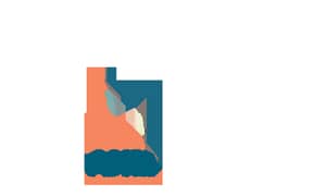 Clerical and Admin Job