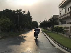 Unique And Huge Property