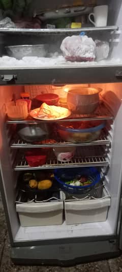 waves Refrigerator  fulll size