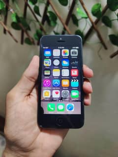 iphone 5