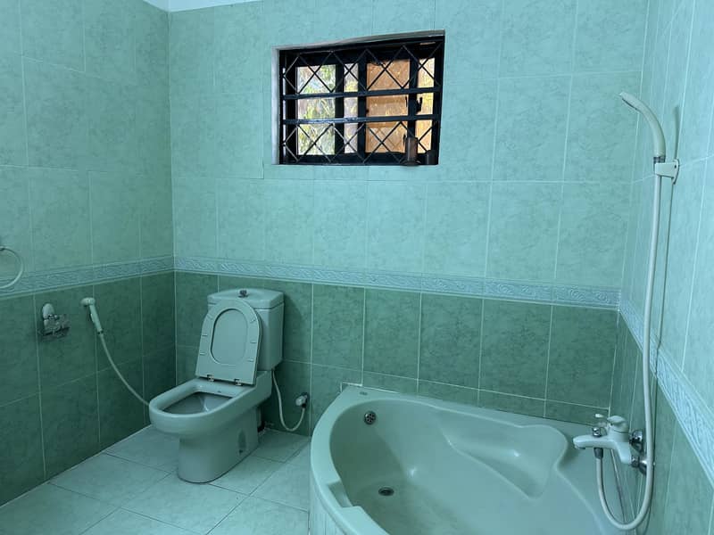 A Multipurpose Option For Your Project 5