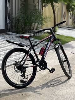 Mountain Bicycle