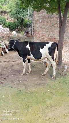 walati