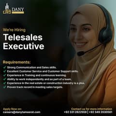 Telesales Executive