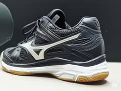 Mizuno Sport Shoes