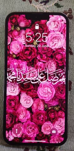Apple Ihone 13 pro LLA model , Battery Health 91