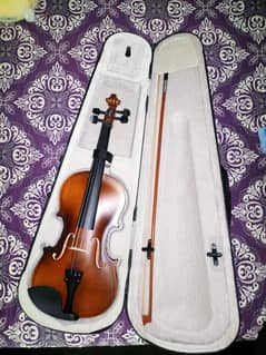 Violin