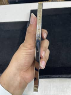 13 pro max pta 128gb