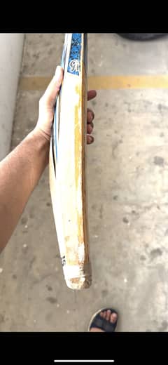 CA plus 8000 English willow used bat