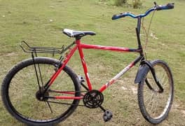 Phoenix Cycle 26 size all ok condition