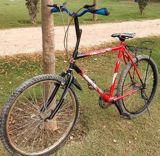 Phoenix Cycle 26 size all ok condition 2