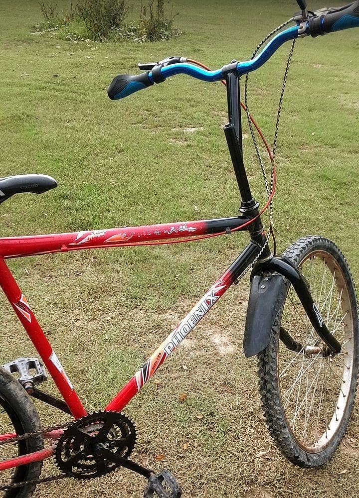 Phoenix Cycle 26 size all ok condition 5